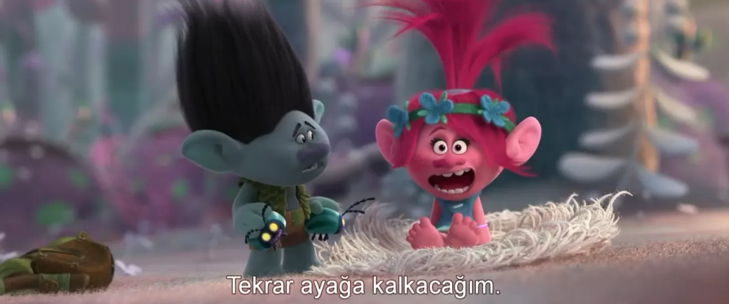 Troller